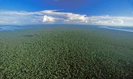 Uncontacted Tribe Found Deep In Amazon Rainforest Indigenous Peoples The Guardian Uncontacted Tribe Found Deep In Amazon Rainforest Indigenous Peoples The Guardian
