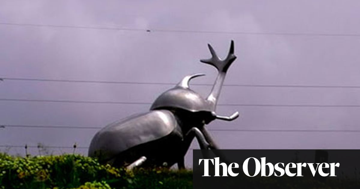 Beetle Queen Conquers Tokyo – review | Documentary films | The Guardian