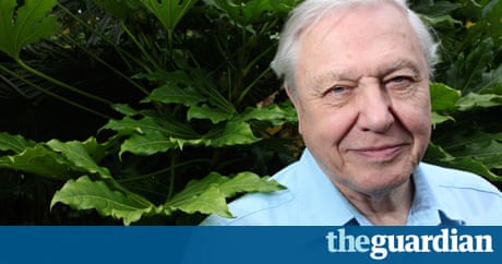 Is there life on earth after Attenborough? | Environment | The Guardian