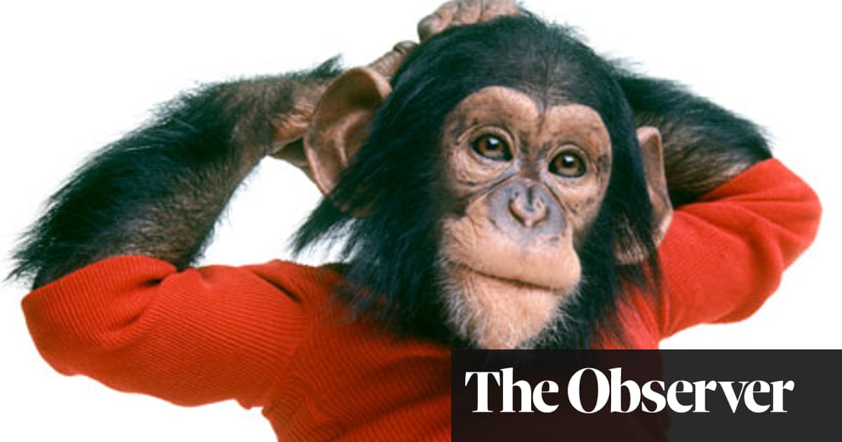 Nim Chimpsky: the chimp they tried to turn into a human ...