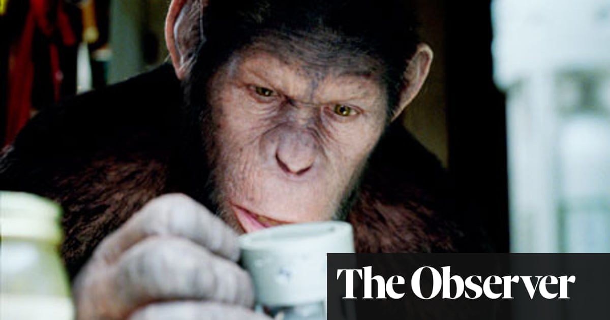 Rise Of The Planet Of The Apes Project Nim Review Film The