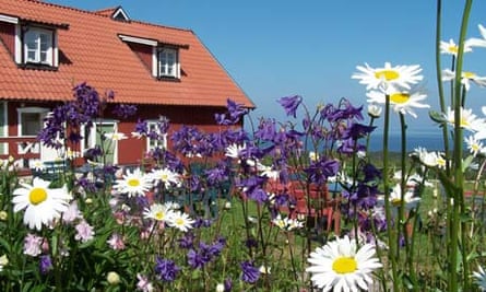 cafe-utsikten-sweden-flowers