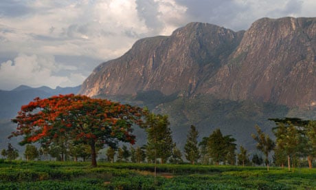 Mount Mulanje, Malawi