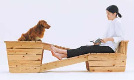 Furniture For Dogs Join The Kennel Club Dogs The Guardian Furniture For Dogs Join The Kennel Club Dogs The Guardian