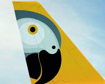 Fastjet's African grey parrot livery