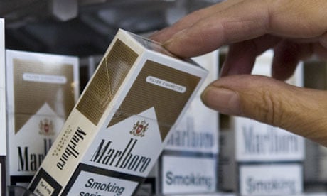 how long does it take for a cigarette to biodegrade What Happens to Cigarettes Buried in Soil for a Year? 🚬🌱, Cigarettes decompose in soil—but some parts never disappear. This one-year experiment reveals a surprising truth., cigarette decomposition,