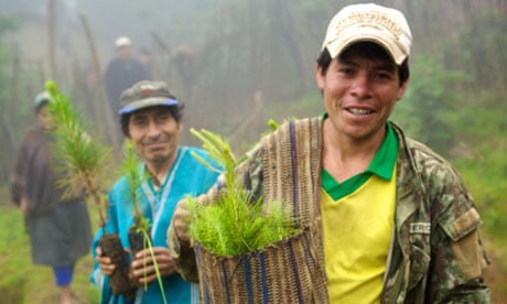 Peruvian farmers with saplings