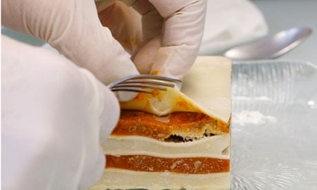 lab worker tests beef lasagne
