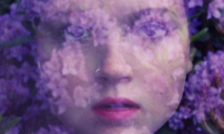 olivia bee purple haze