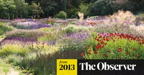 What to Expect from a Garden Designer: Expert Insights