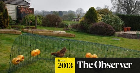 picture Smallholding Uk Law peasants down on the farm farming
