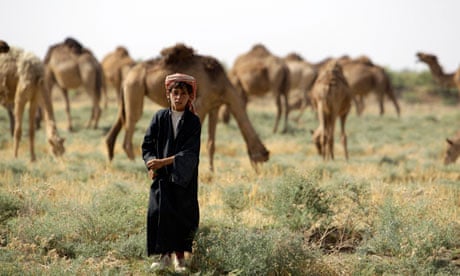 An Iraqi shepherd boy