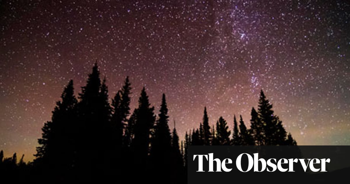The End Of Night By Paul Bogard Review Science And Nature Books The Guardian
