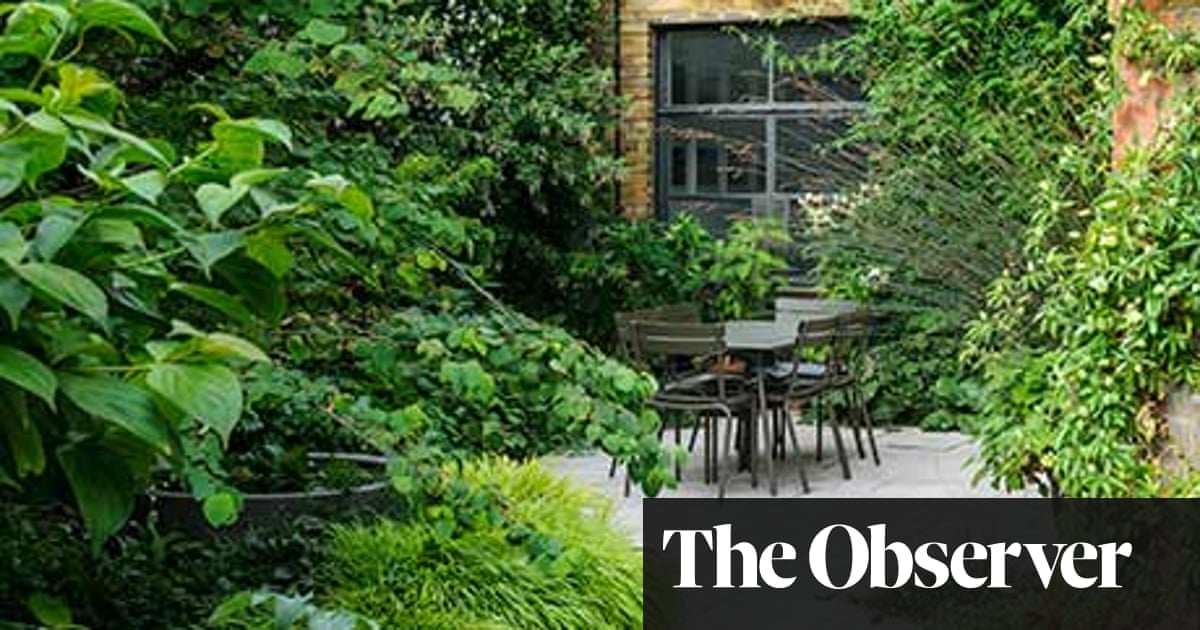 A Small City Garden Oasis Life And Style The Guardian