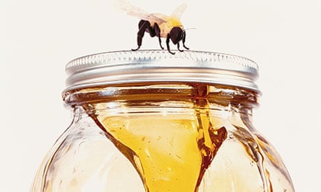 A bee on top of a jar of honey
