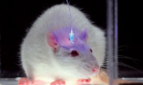 Changing brains: why neuroscience is ending the Prozac era