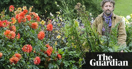 Gardens: the October checklist | Dan Pearson | Life and style | The Guardian Gardens: the October checklist | Dan Pearson | Life and style | The Guardian on Dan Pearson Garden
 id=41122