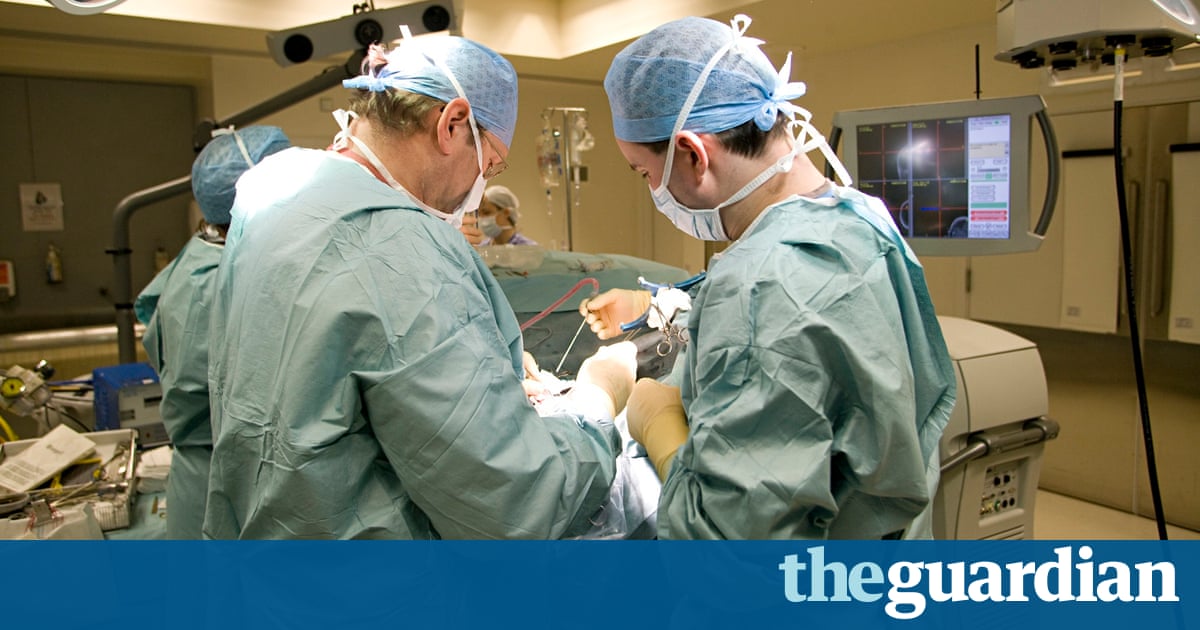 buy Animal nutrition with transgenic buy Animal nutrition