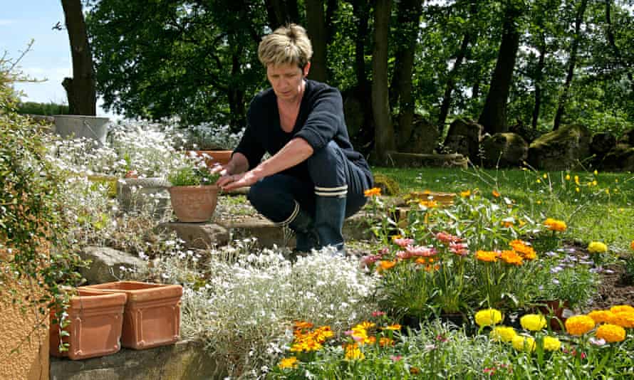 gardening is good for your health now make it easy on your wallet saving money the guardian