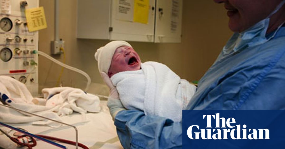 What Are Little Boys Made Of Scientists Pinpoint Bananas Medical Research The Guardian What Are Little Boys Made Of Scientists Pinpoint Bananas Medical Research The Guardian