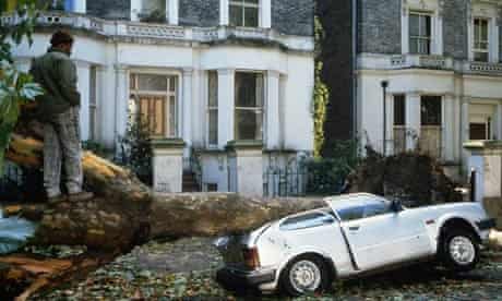 A car crushed by a fallen tree