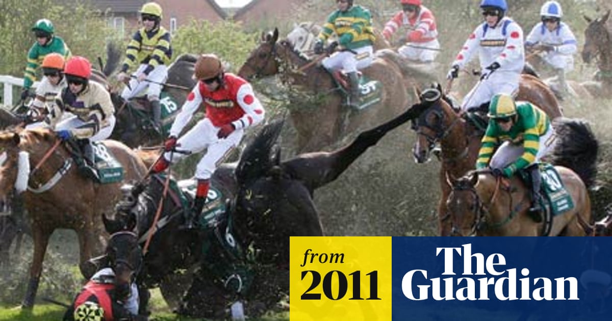 New Minimum Age Set For Grand National Runners In Safety Review Grand National 11 The Guardian New Minimum Age Set For Grand National Runners In Safety Review Grand National 11 The Guardian