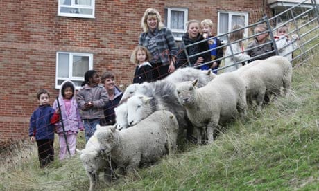 Urban shepherds in Brighton