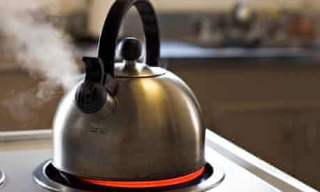 Stainless steel tea kettle