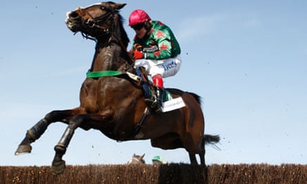 Talking Horses Horse Racing The Guardian