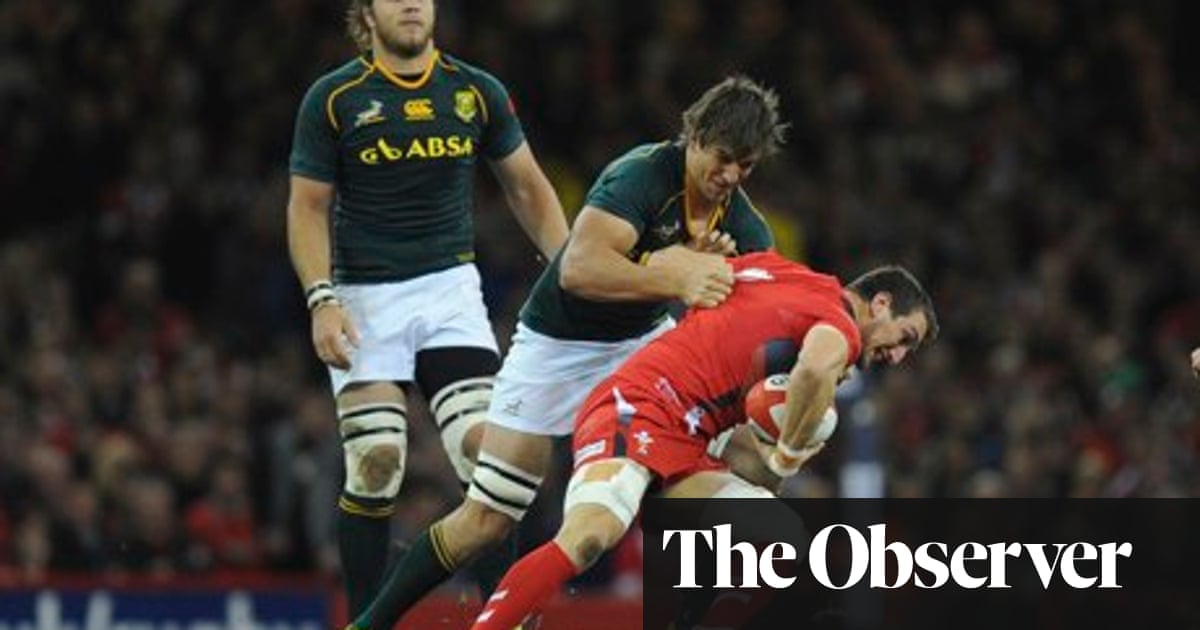 Wales 15 24 South Africa Autumn Internationals Match Report Sport The Guardian