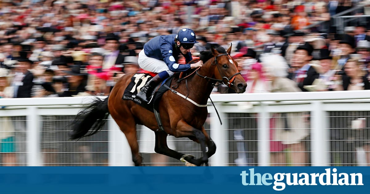 Horse racing tips: Tuesday 17 June | Sport | The Guardian