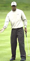 Tiger Woods 