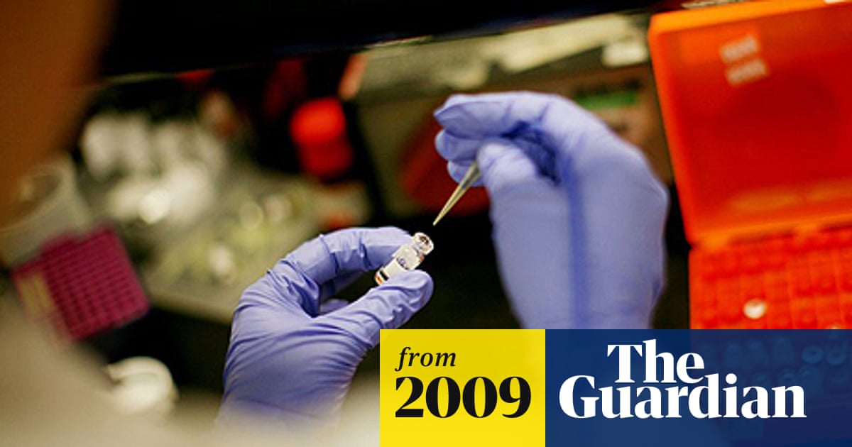 www.theguardian.com