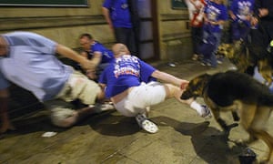 Image result for rangers fan manchester manchester police dog