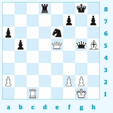 Chess 3141