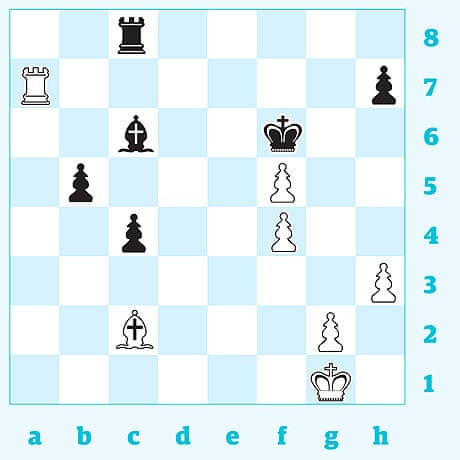 Judit Polgár - Chess Mate