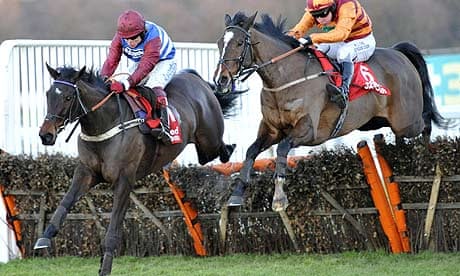 Long Run is Cheltenham Gold Cup value to defeat older generation | Cheltenham festival | The Guardian