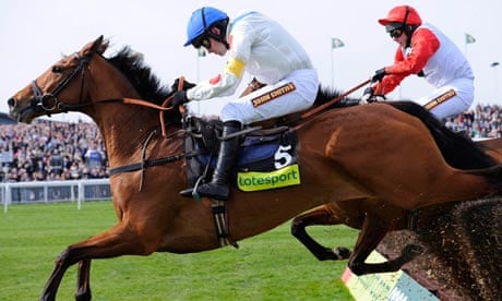 Five ways to pick the Grand National winner - if you're a novice | Grand National | The Guardian