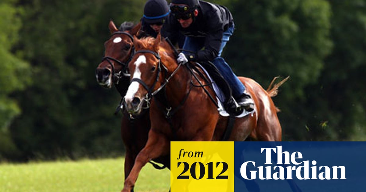 Jim Bolger has Dawn Approach on course for the Dewhurst Stakes | Horse ...