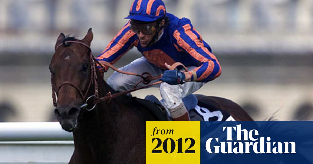 Tributes are paid to Montjeu, an outstanding racehorse and sire | Horse racing | The Guardian