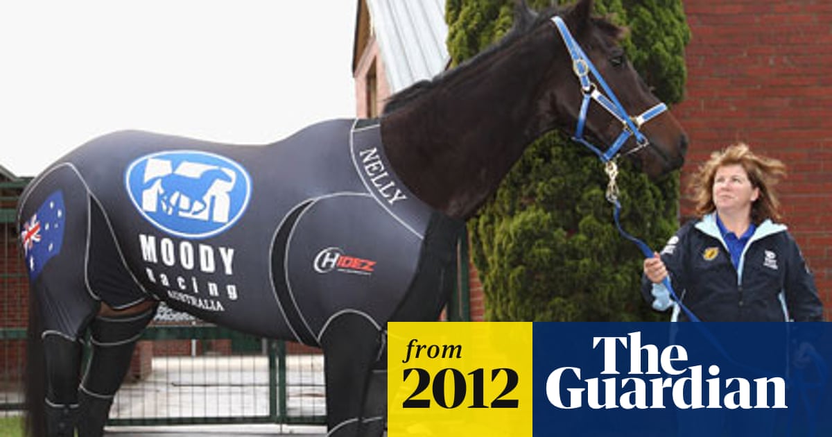 Black Caviar Ready For Flight To Britain In Specially Made Lycra Suit