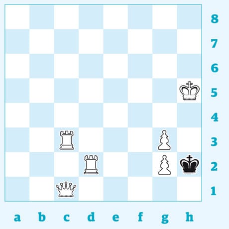 Chess 3294