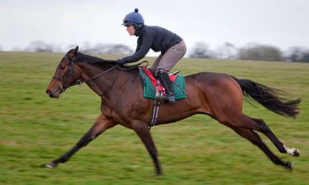 Katie Walsh Feels More Pressure In Pinhooking Than Grand National Horse Racing The Guardian