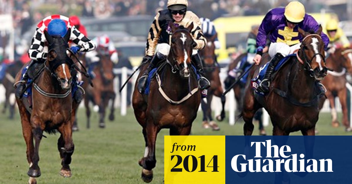 Lord Windermere Wins Cheltenham Gold Cup After Stewards Inquiry Horse Racing The Guardian Windermere Cup 2022