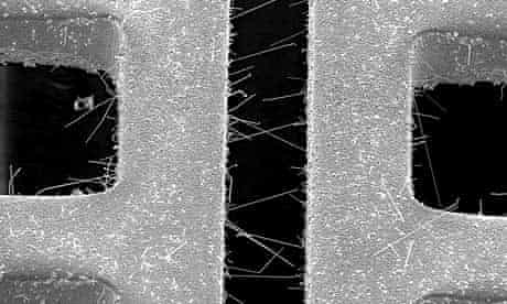 Within a whisker of failure | Research and development | The Guardian