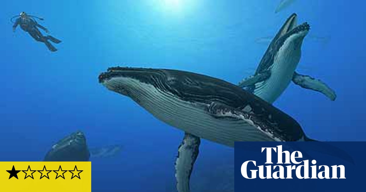 Endless Ocean 2 Adventures Of The Deep Games The Guardian Endless Ocean 2 Adventures Of The Deep Games The Guardian
