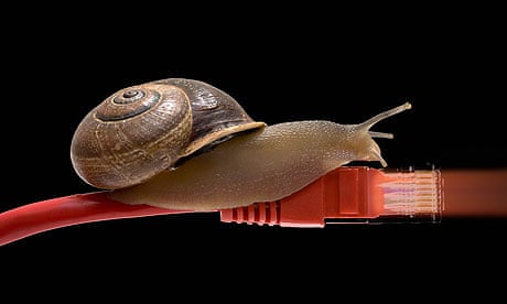 cable-snail-007.jpg?w=620&q=55&auto=form
