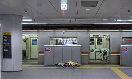 Tokyo Jungle Review Games The Guardian Tokyo Jungle Review Games The Guardian