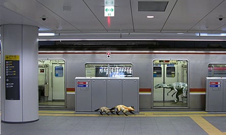 Tokyo Jungle Game Download Tokyo Jungle Game Download