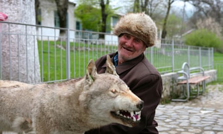 Azeri wolf